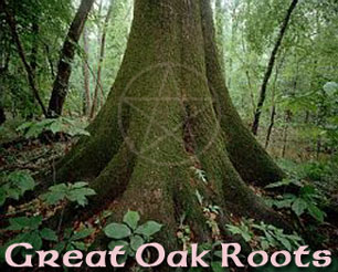 Great Oak Roots